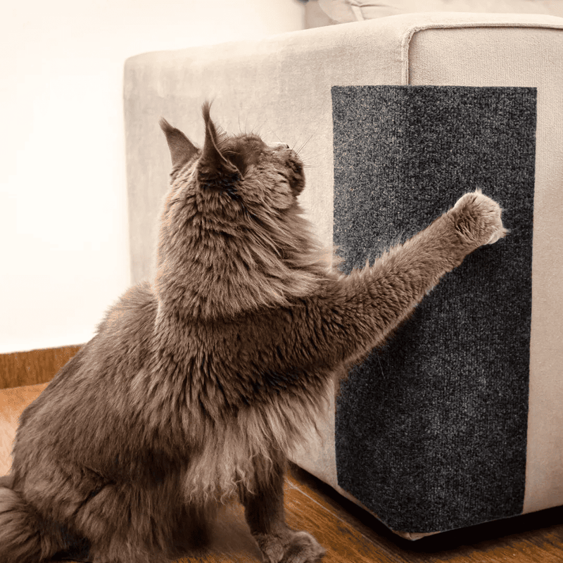 Carpete Arranhador  Adesivo para Gatos- Cats Love